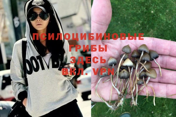 экстази Осташков