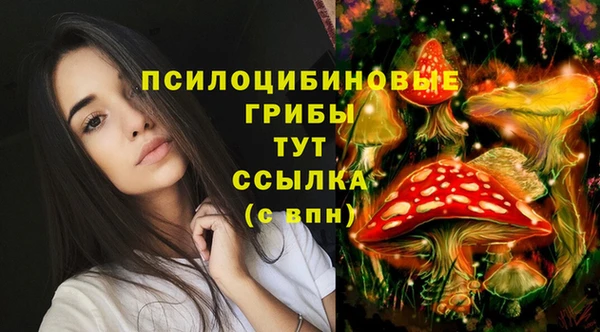 экстази Осташков