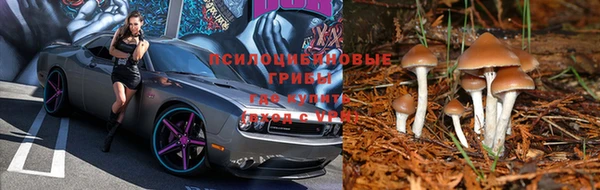 экстази Осташков