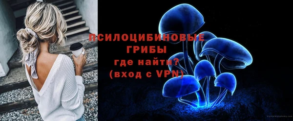 соль ск Осинники