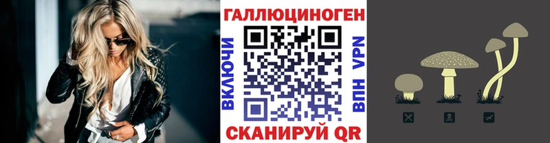 Галлюциногенные грибы MAGIC MUSHROOMS  где найти наркотики  Воронеж 