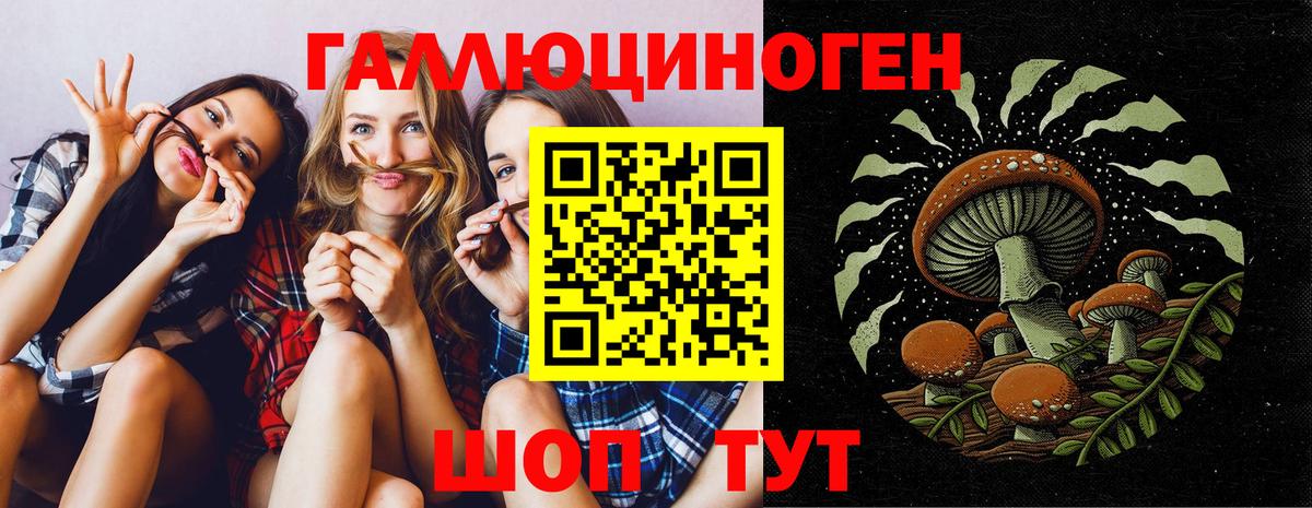 Псилоцибиновые грибы Psilocybine cubensis Воронеж