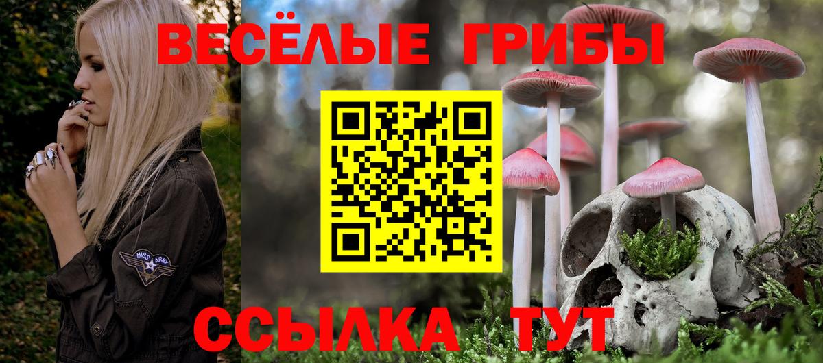 Воронеж  Псилоцибиновые грибы ЛСД  Вход с VPN 