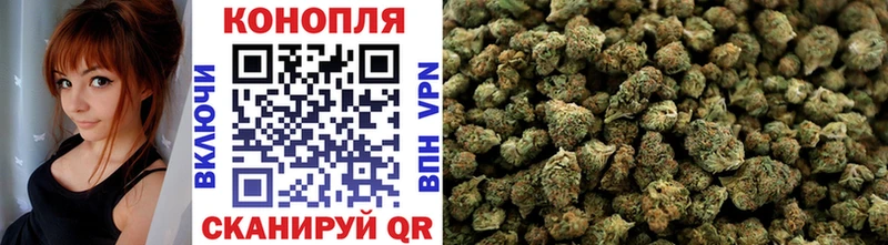 Конопля сатива  купить  цена  hydra сайт  Воронеж 